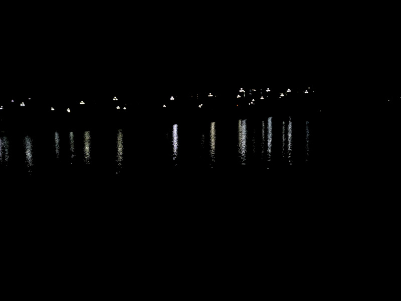 路灯及其在水中的倒影